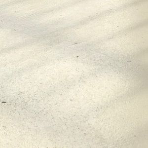 Meet your Posher, Bailey